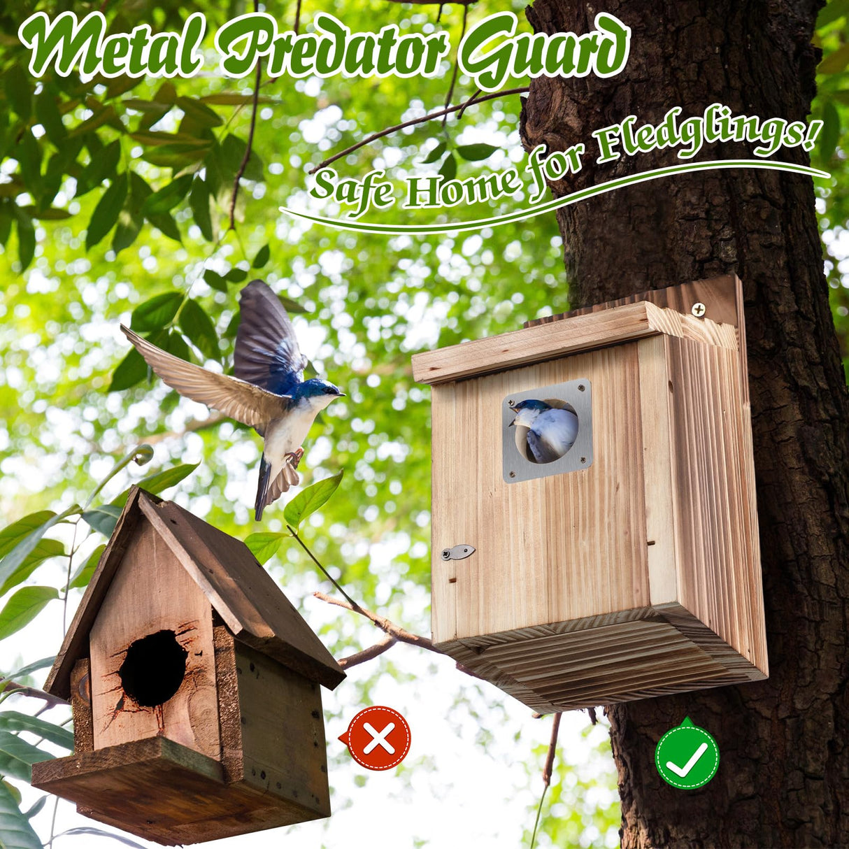 Dreyoo 2 Pack Cedar Bluebird Box Houses for Outside, 1-1/2” Entrance Hole Wooden Bird Houses with Metal Predator Guard, Secure Latch, Fledgling Grooves, Air Vents for Bluebird Wren Swallow Finch Dreyoo