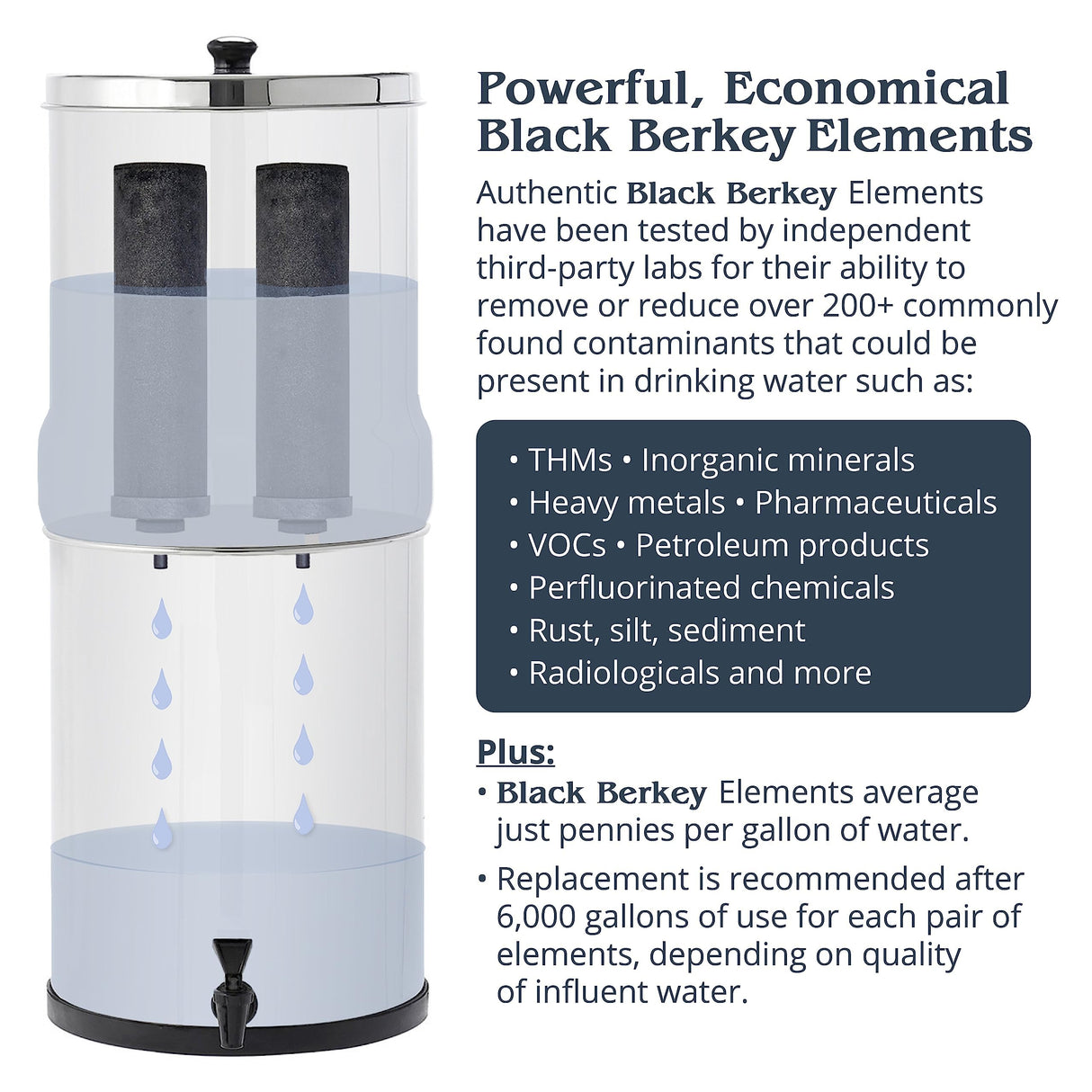 Big Berkey Gravity-Fed Stainless Steel Countertop Water Filter System 2.25 Gallon with 2 Authentic Black Berkey Elements BB9-2 Filters Berkey