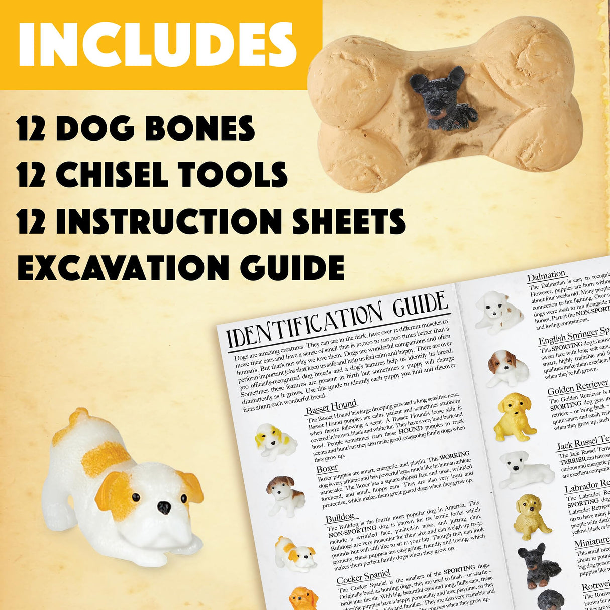 MindWare Dig it Up! Puppies Excavation Kit - Educational Toys for Kids 4 and Up - Dig Kit with 12 Bones, 12 Puppy Figurines, 12 Chisels - Ideal for Group Activities, Events or Classroom Brain Breaks MindWare