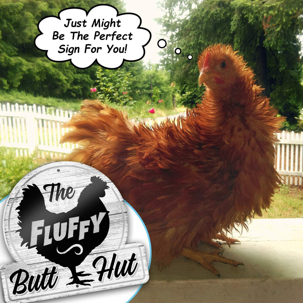 Bigtime Signs Fluffy Butt Hut Chicken Coop Sign - Funny Chicken Coop Decor for Hen Lovers, 12"x11" PVC Durable and Weatherproof - Thoughtful Gift for Chicken Lovers, Hen Feeder and Nesting Box Accent Bigtime Signs