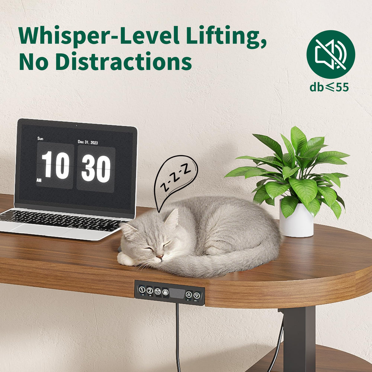 Xyulmeo Mid Century Modern Electric Standing Desk with Storage, 55 x 22 Inch Small Sit Stand Up Desk, Wood Adjustable Height Computer Executive Desk for Home Office, Laptop, Walnut Xyulmeo