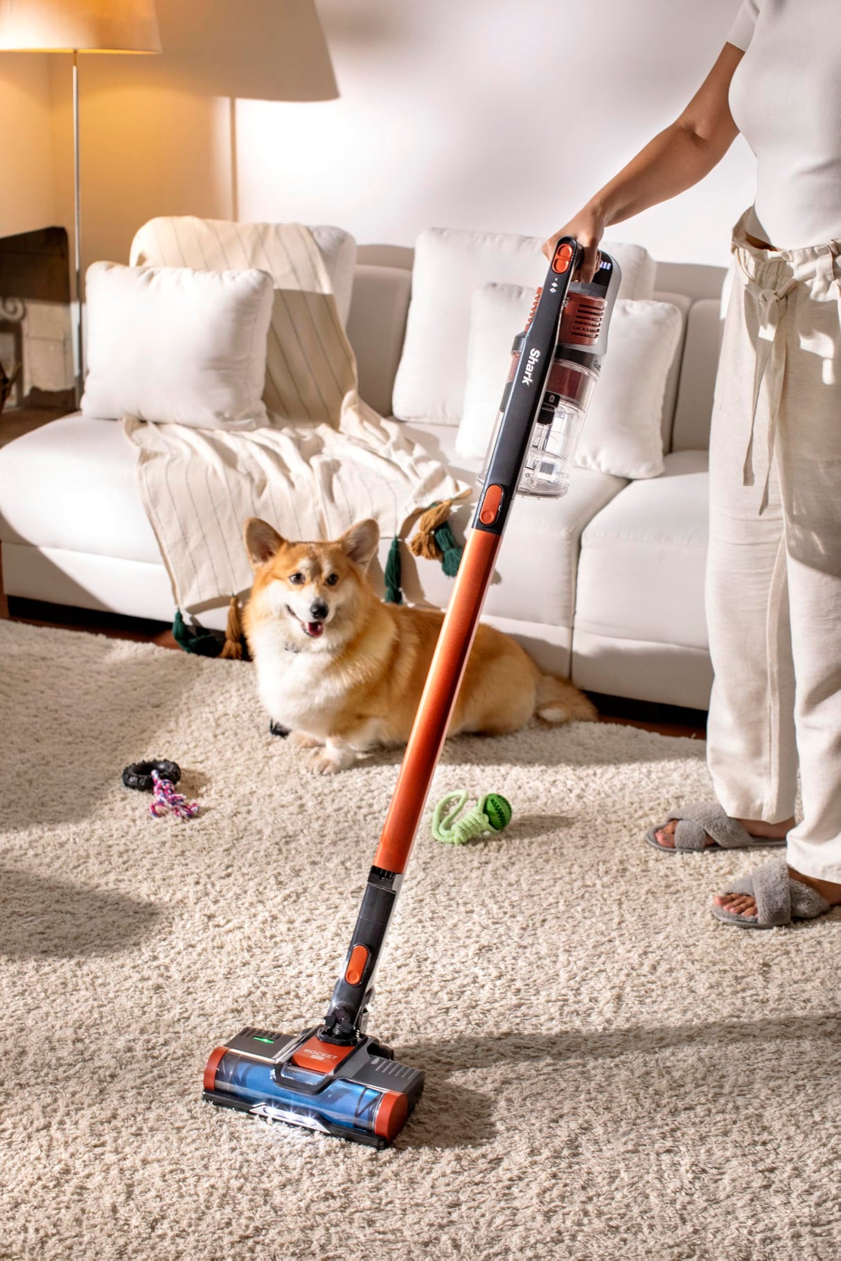 Shark Pet Cordless Stick Vacuum with XL Dust Cup, LED Headlights, Removable Handheld Vac, Crevice Tool, Portable Vacuum for Household Pet Hair, Carpet and Hard Floors, 40min Runtime, Grey, IX141 Shark