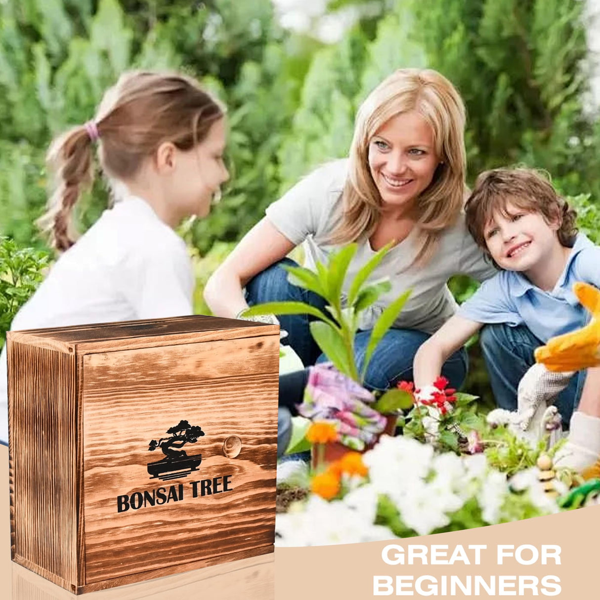 Sproutix Bonsai Garden Starter Kit, 4 Seeds Growing into Sakura, Ginkgo, Black Pine, Red Flame, Including Complete Gardening Tools & A Wooden Box with Cover, Christmas Gifts for Men Women Beginners SPROUTIX