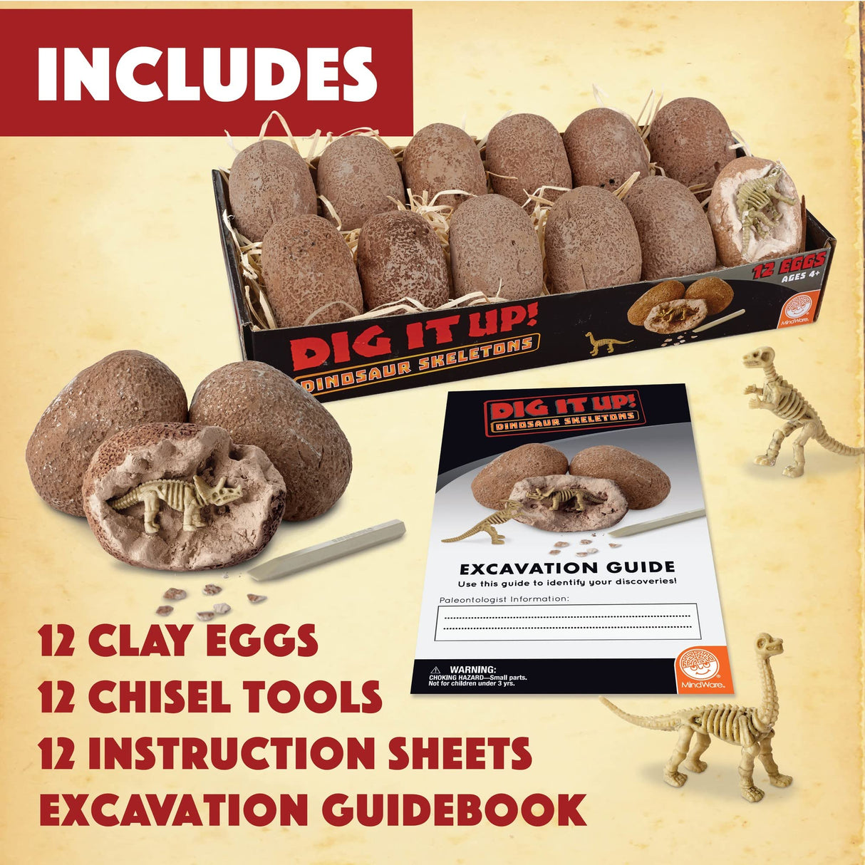 MindWare Dig It Up! Dinosaur Skeleton Eggs Excavation kit - Comes with 12 Clay Eggs, 12 Chisel Tools and 12 Instruction Sheets MindWare