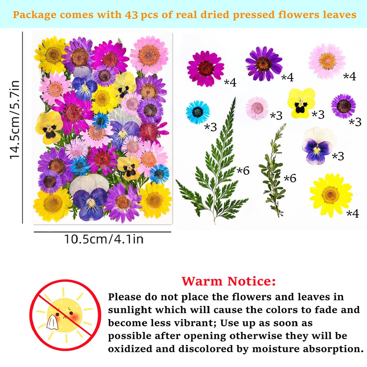 Cardstock Blank Bookmarks Set, 12 Pcs DIY White Craft Bookmarks for Pressed Flowers, Dried Flower Bookmark Making Kit with 43 Pcs Pressed Flowers, 12 Pcs Tassels, DIY Bookmarks for Dried Flowers HEOCAKR