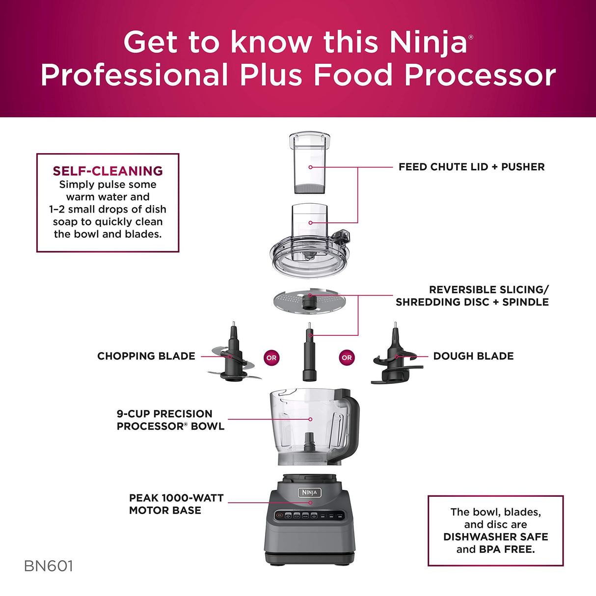 Ninja BN601 Professional Plus Food Processor 1000-Peak-Watts with Auto-iQ Preset Programs Chop Puree Dough Slice Shred with a 9-Cup Capacity and a Silver Stainless Finish (Renewed) Ninja