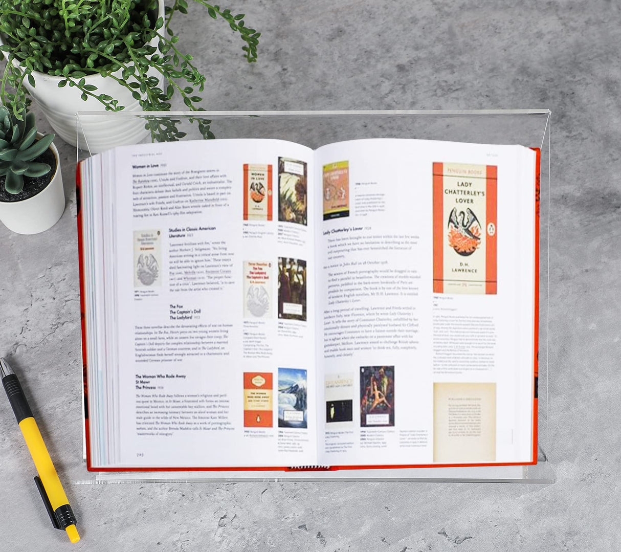 Kamehame Book Stands for Display, 2 Pack Slightly Elevated Clear Acrylic Book Display Stand with 1.5" Ledge, Book Easel Anti-slip Border for Handwriting Reading Art and Laptop, 12"x8.5"x5.1" Kamehame