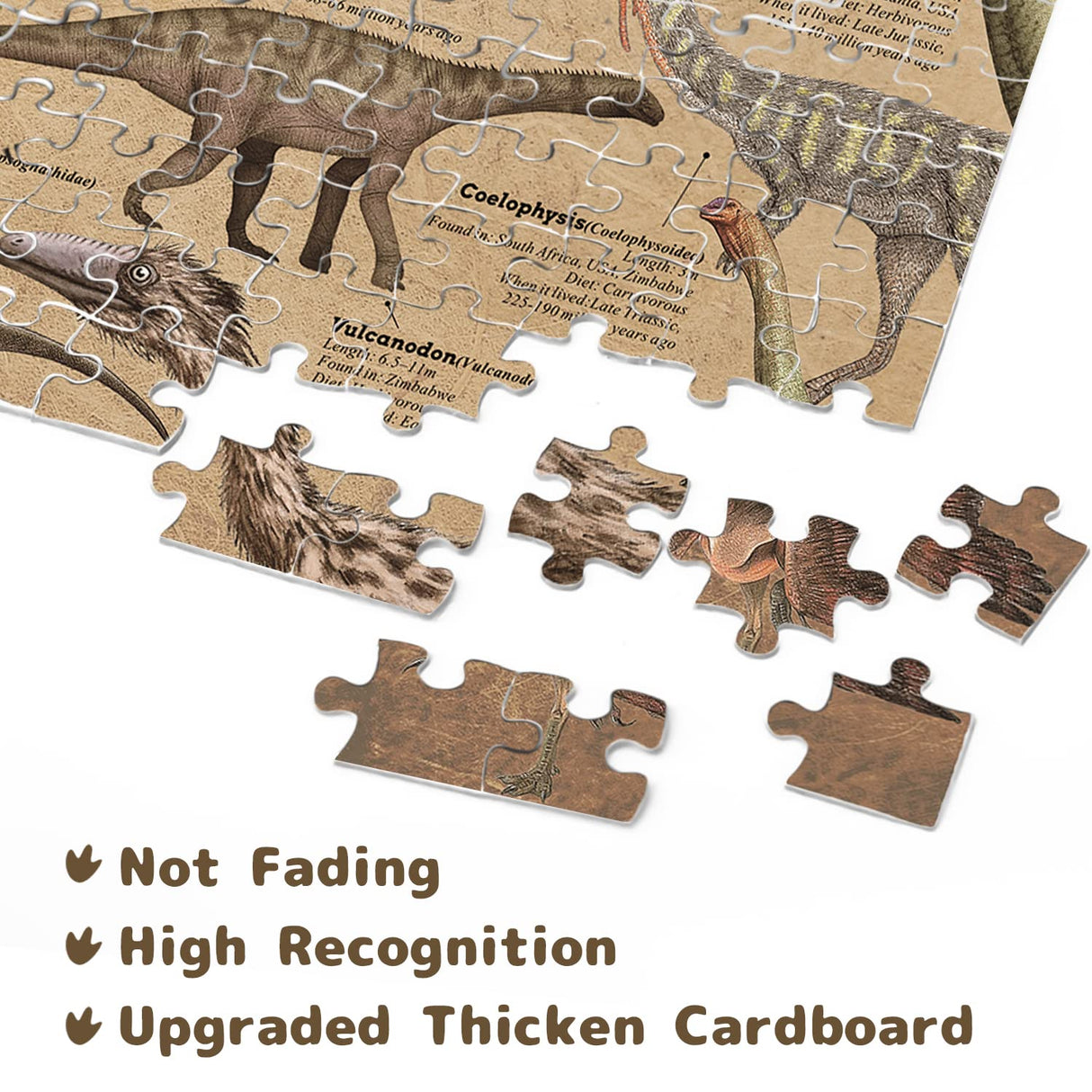 Dinosaur Puzzle 1000 Pieces for Adult, Vintage Dinosaur Jigsaw Puzzles Includes Major Dinosaur Groups, Animal Puzzle as Dinosaur Souvenir BBOLDIN
