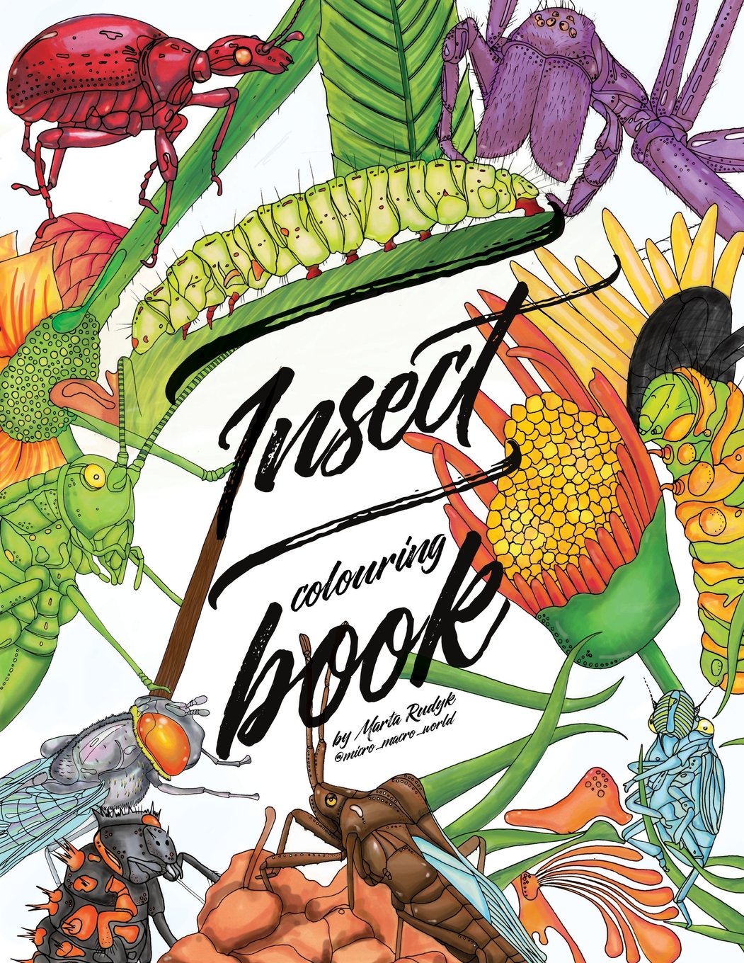 Insect colouring book: Colouring book for adults, teens and kids. Girls and boys who are animal lovers. Gizzy Books Ltd