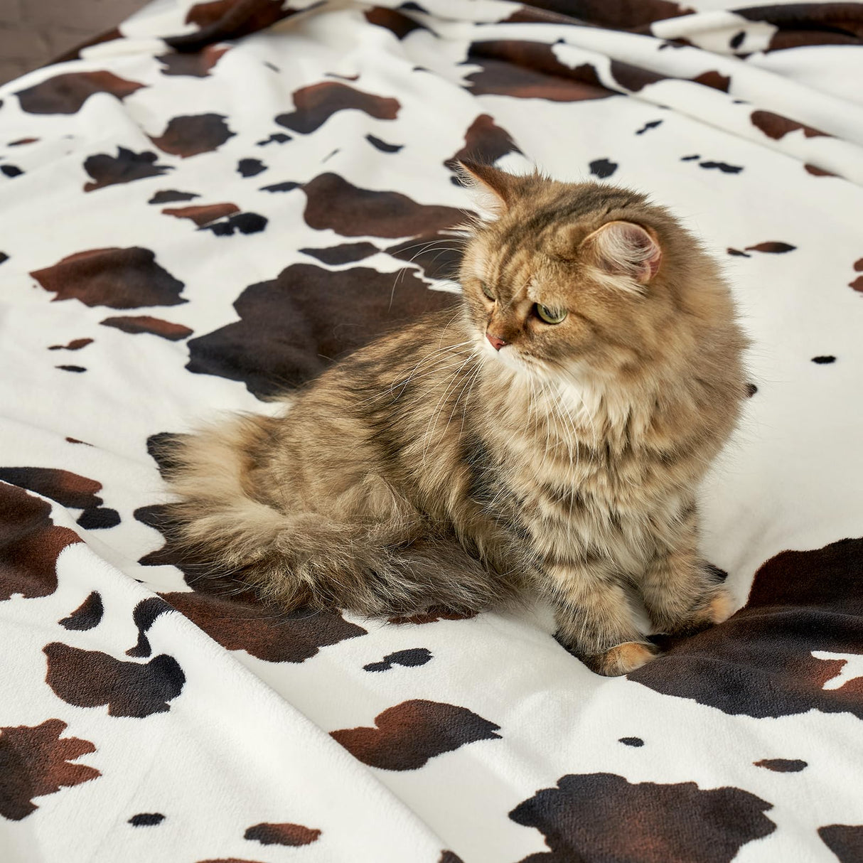 Cozy Bliss Cow Print Throw Blanket Non Shedding MilkyPlush™ Fleece 330GSM Thick Blankets Western Room Decor Super Soft Warm for Adults Kids Girl Gifts Bedroom Couch Sofa Travel Black Brown 50"x60" Cozy Bliss