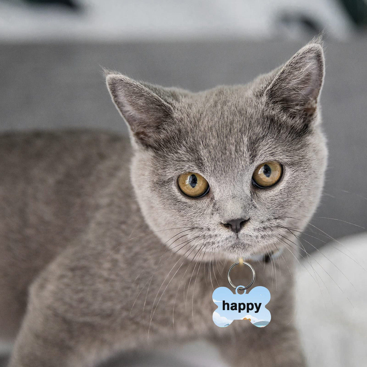 50 Pcs Sublimation Blank Dog Tags Bone Shaped DIY Double Sided Aluminum Dog ID Tags Bone Shaped Pet Name Tags Dog Collar Tags with Dogs and Cats GEKIXUTP