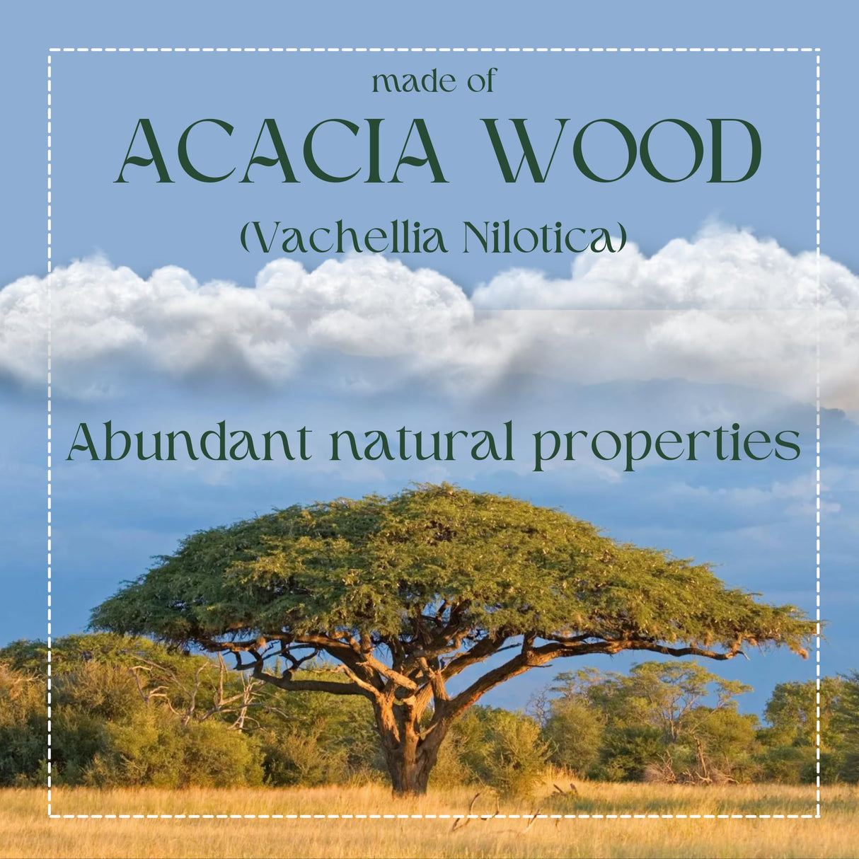 QIQAA Acacia Wood Black Etching Serengeti Tiger Tray | Bathroom Decor, Vanity Organizer, Coffee Table Decor, Jewelry Tray, 16x11x2 QIQAA