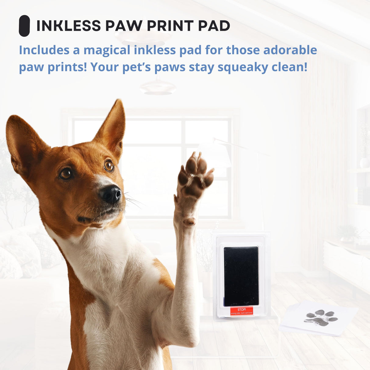 OtterPets Memorial Picture Frame, 4 Customizable Displays, 9x9, Paw Print Kit for Dogs, Dog Memorial Gifts for Loss of Dog, Loss of Pet Sympathy Gift, Pet Paw Print Impression Kit OtterPets