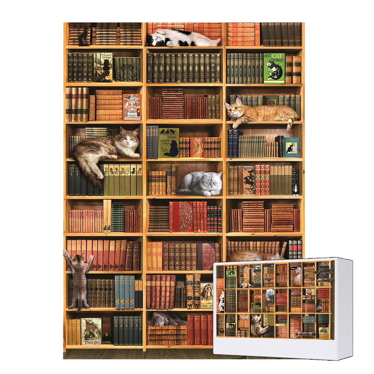 RECHIATO Jigsaw Puzzles for Adults,Jigsaw Puzzles 1000 Piece for Adults,Cat Jigsaw Puzzles for Adults 1000 Pieces and up, for Family Members and Friends, for Women&Mon, Library RECHIATO