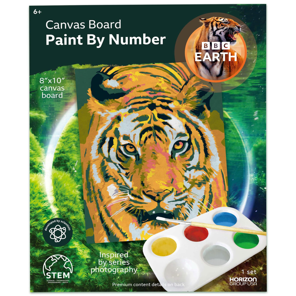 BBC Earth Canvas Board Paint by Numbers Tiger, 8 x 10-inch Canvas, Paint Palette, Paintbrush, Powder Paints, Kit for Adults Beginner, Painting Horizon Group USA