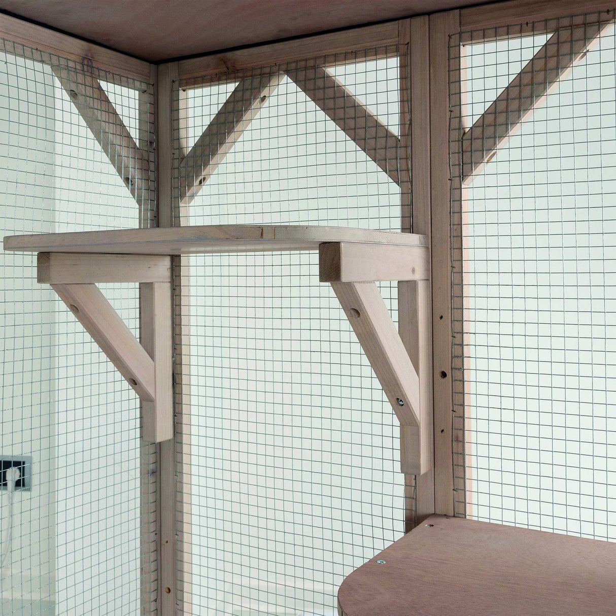 TRIXIE Outdoor Catio, Cat Enclosure with Roof, Large Cat Playpen with Platforms, Cat House, Cat Cage, Run TRIXIE