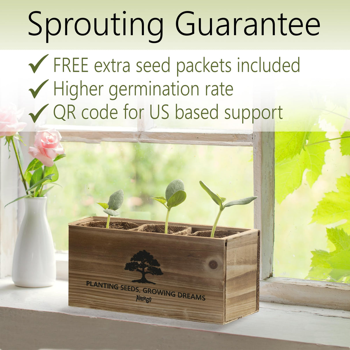 Avergo Bonsai Tree Kit – 3X Unique Japanese Bonzai Trees | Complete Indoor Starter Kit for Growing Bonsai Plants with Tools & Planters – Gardening Gifts for Women & Men AVERGO