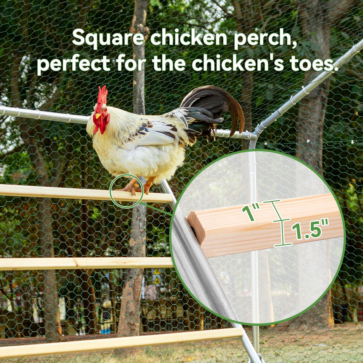PETSFIT Square Chicken Roosting Perch, Perfect for Backyard Poultry, Chicken Perch for Coop, Easy to Assemble&Clean, Farm Chicken Toys (55" L x 40" W) Petsfit