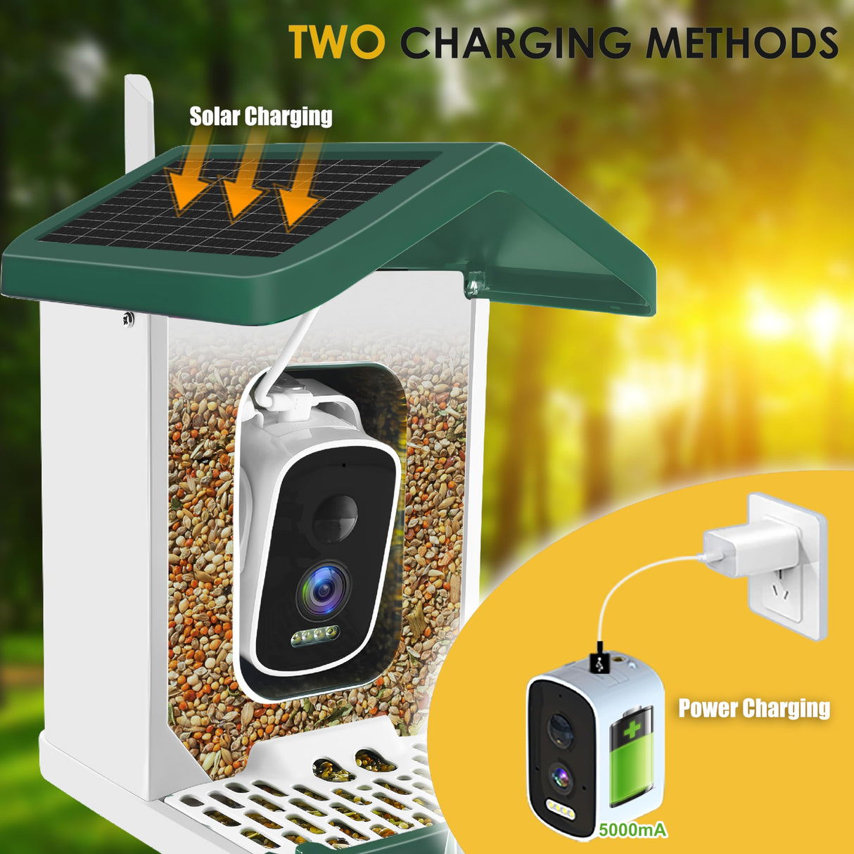 ImmSss Bird Feeder with Camera,Smart AI Identify Bird Species,Solar Hummingbird House Outdoor with 2.5K HD Cam,Live View,Instant Alerts,Capture Bird Video,Squirrel-Proof,Ideal Gift for Bird Lover ImmSss