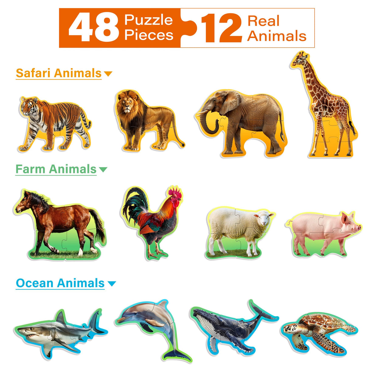 BenBen Puzzles for Toddlers 2-4,12 Animal Puzzles, 3 Levels Step-by-Step Color-Coded Jigsaw Puzzles, 48 Pieces Total, Educational Montessori Toys for Preschool Girls Boys BenBen
