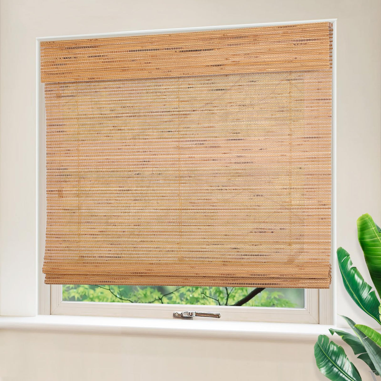 Chaudix Cordless Bamboo Shades, Blackout Bamboo Roman Blinds, Extra Width Privacy Wooden Blind, Sun Shade for Bedroom, Living Room, Dining Room, Acorn PS-043 Chaudix
