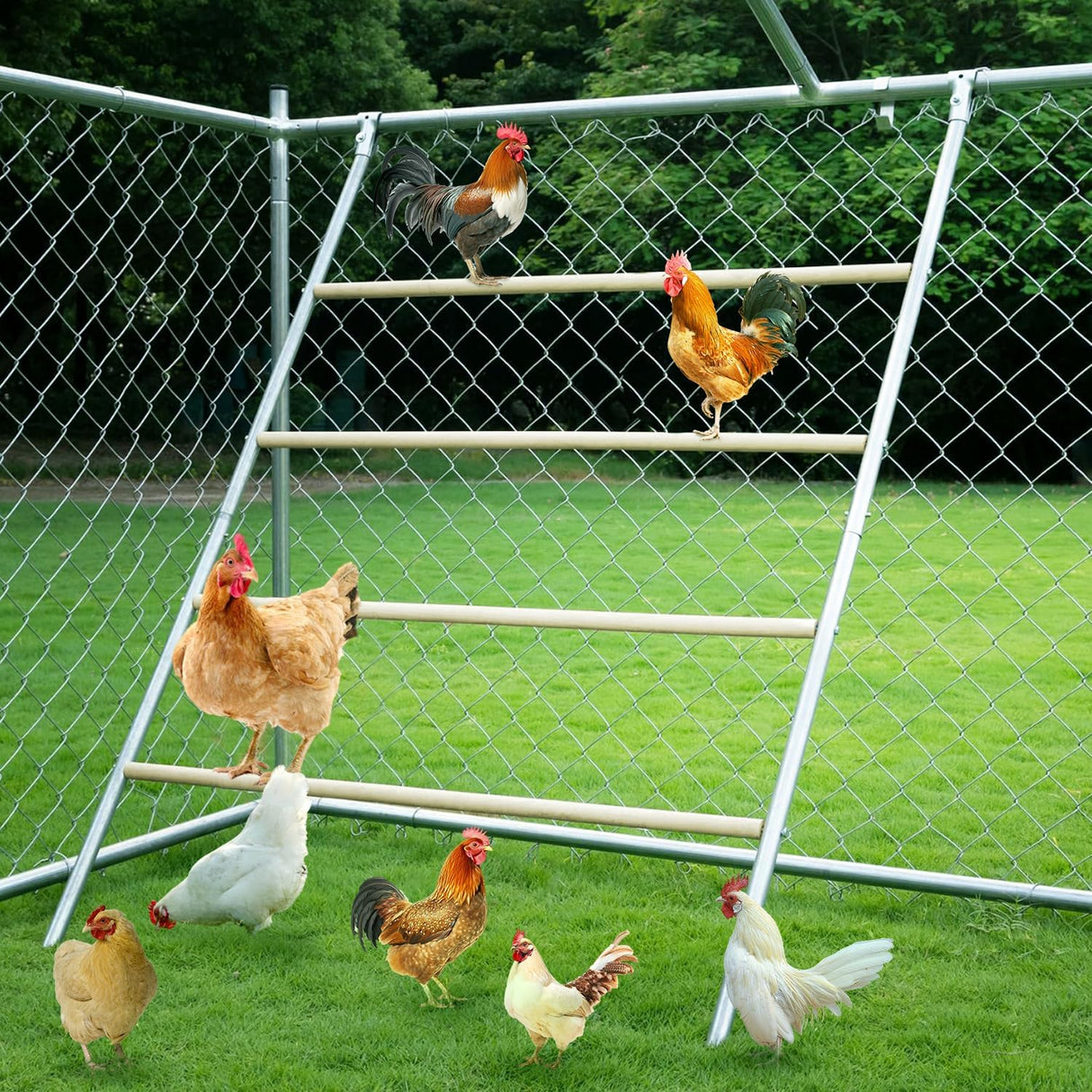 Chicken Roosting Ladder,Chicken Perch for coop,Chicken roosting Bars, Chicken coop Toys, Suitable for Chicken Run and Chicken Perch, Backyard Poultry, Farm Roost Toys for Chickens 55.1' L x 40.1' W YUMEKA