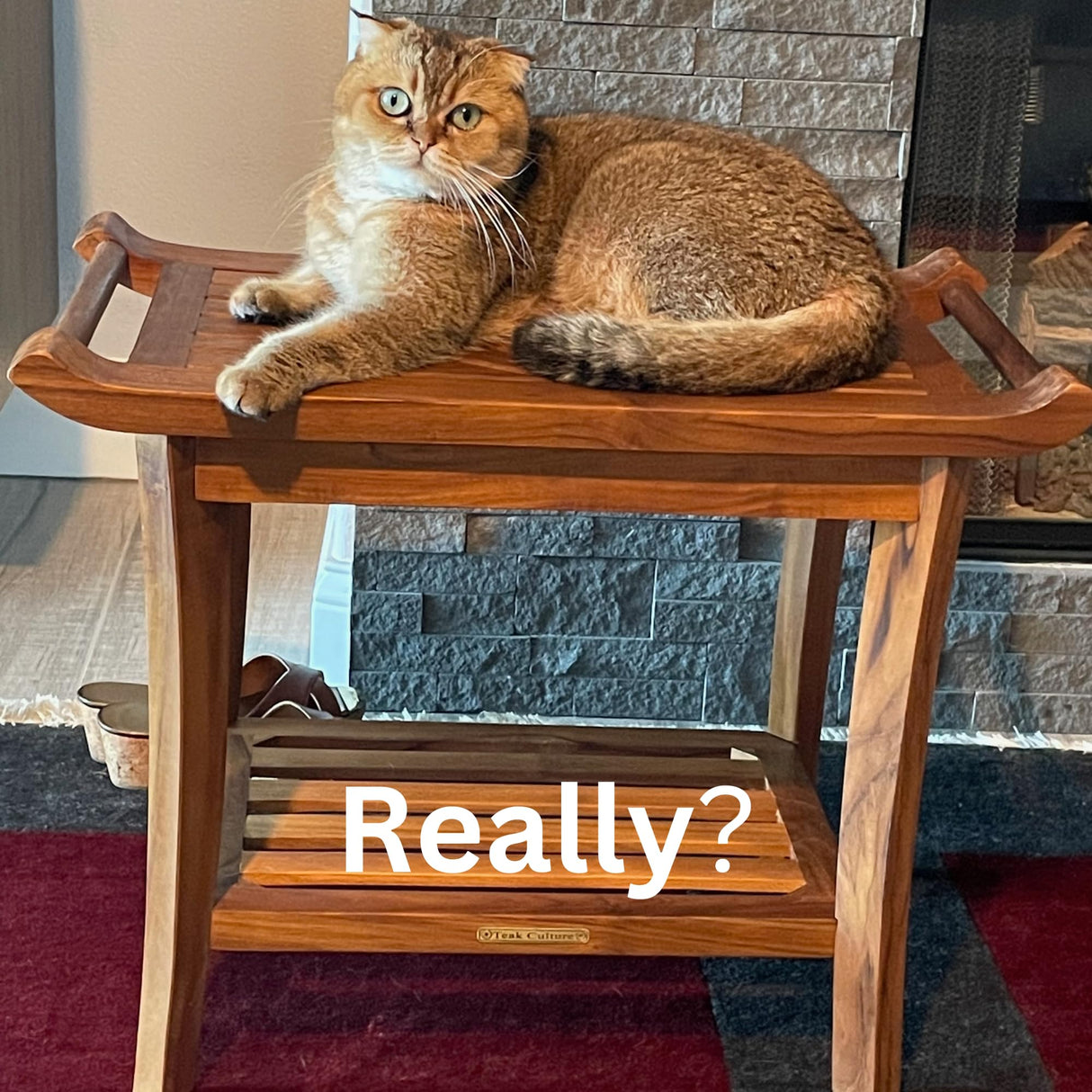 Luxury Teak Shower Bench Stool Seat Chair with Leveling Feet, Waterproof, Teak Oil Finish, Large, 25x19x14, for Bathroom, Spa, Sauna, Pool Deck, Patio, Garden, RV, from Our Diamond Collection Teak Culture