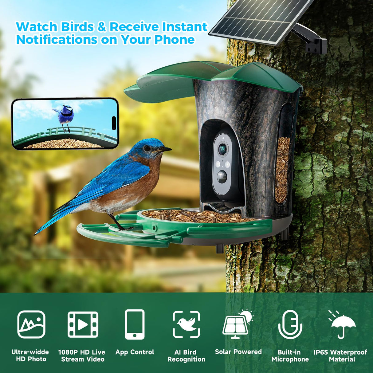 Smart Bird Feeder with Camera, Bird Watcher Camera with High Resolution AI Identify Bird Species with Solar Panels, Video Bird feeders with 180ยฐ Wide-Angle& Motion Detection,Ideal Gift for Bird Lover BEUTFQL