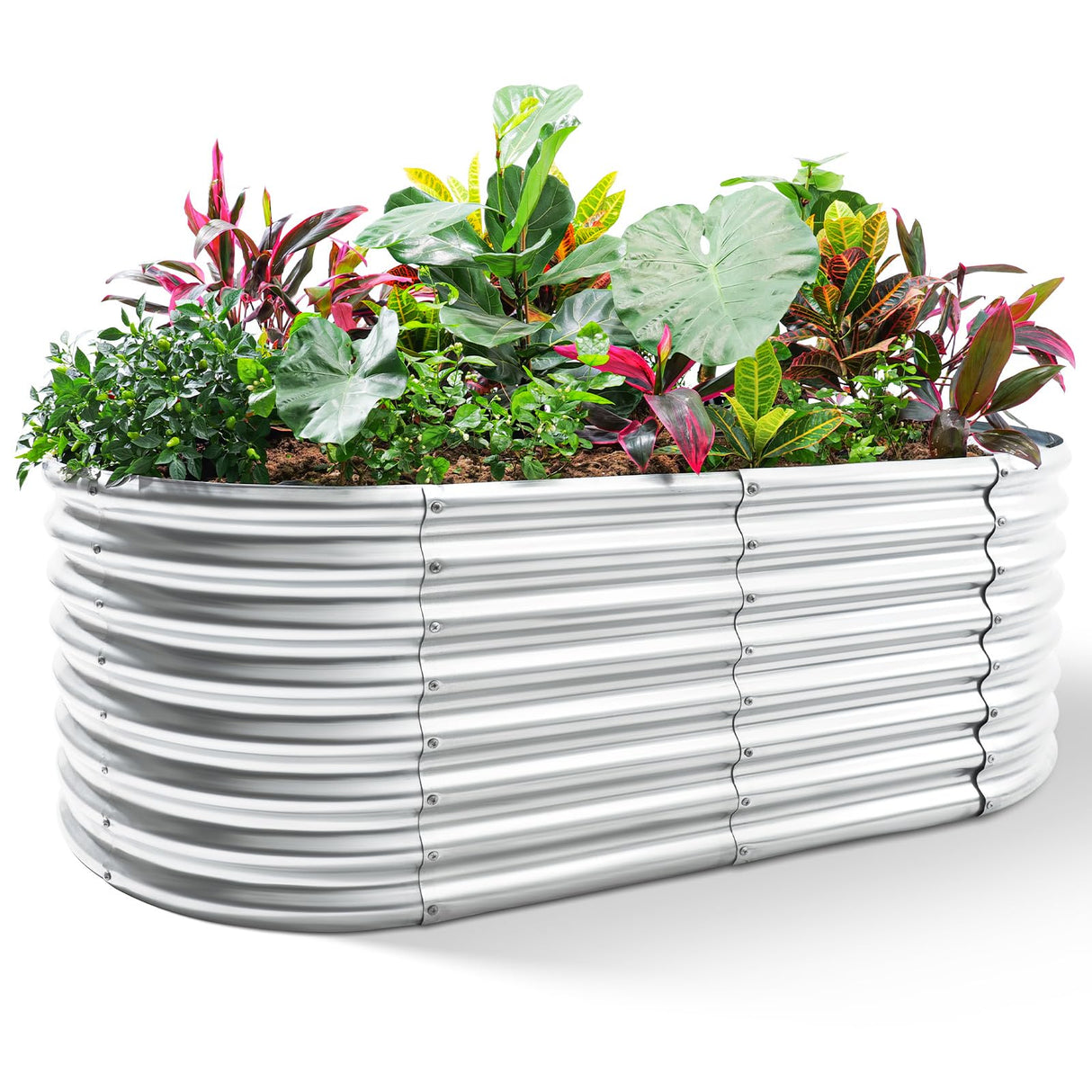 Land Guard 24“ Tall Galvanized Raised Garden Bed Kit, Galvanized Planter Garden Boxes Outdoor, Oval Large Metal Raised Garden Bed for Vegetables (Classic Silver, 4×2×2ft) Land Guard