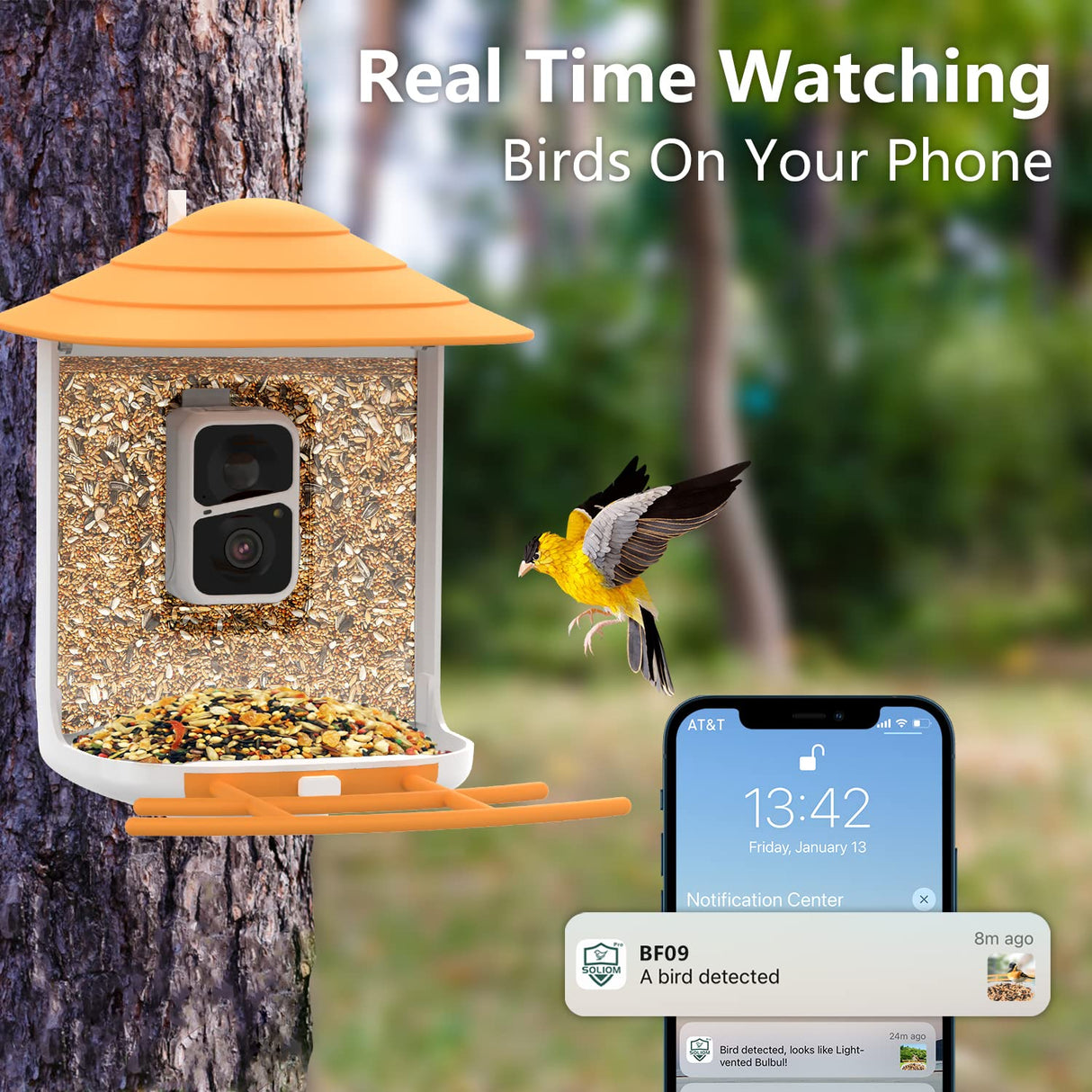 SOLIOM BF09 Bird Feeder with Camera Wireless Outdoor,Smart Bird Feeder Camera with AI Identify Bird Species,Backyard Bird Watching Gift for SOLIOM
