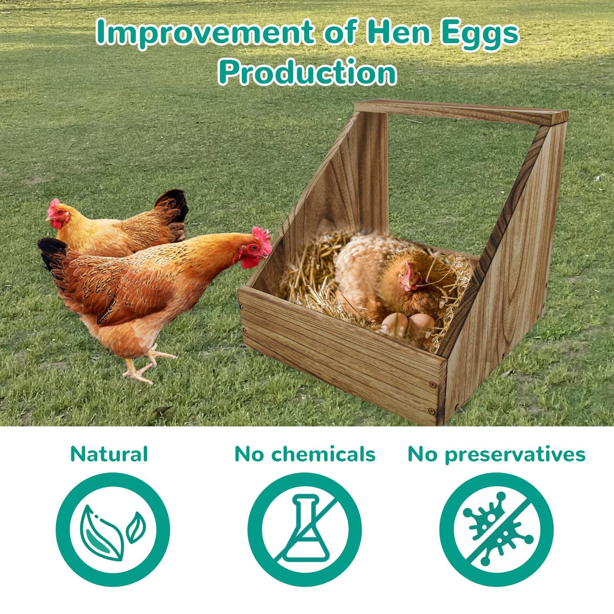 kathson Chicken Nesting Box,Wood Chickens Coop Nesting Boxes Single Compartment Hen Nesting Box Big Duty Laying Nest Boxes for Hens Ducks and Poultry(1 Pcs,No Perch) kathson
