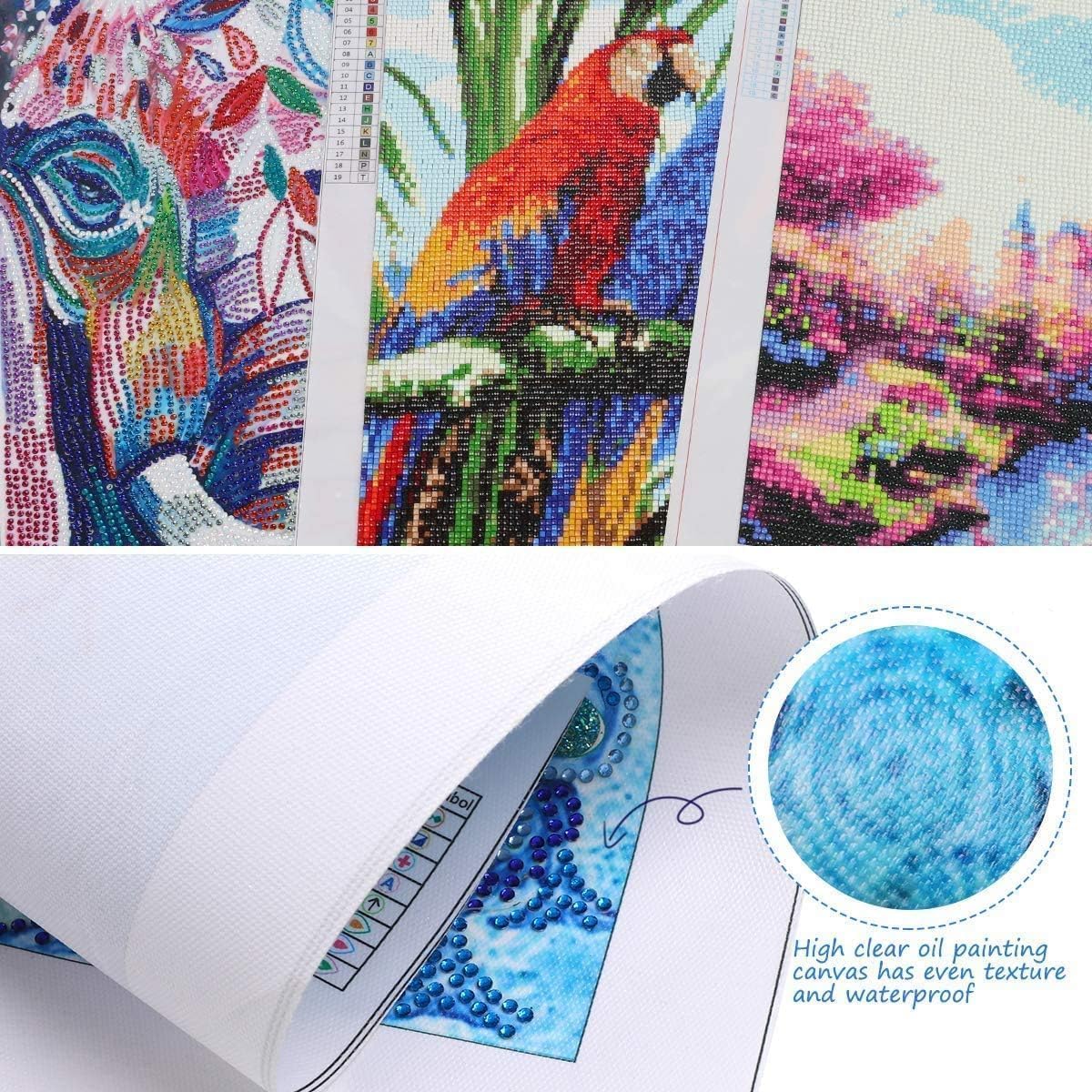 DIY 5D Diamond Art Kits Painting for Adults Beautiful Texas Bluebonnets Field (2) for Home Wall Decor 11.7x15.8inches/30x40cm Generic