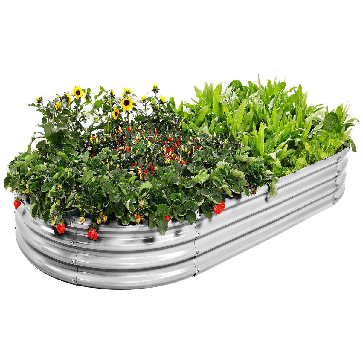 AHEONLAR Galvanized Raised Garden Bed Kit, Oval Large Metal Planter Box, Sturdy and Durable, Garden Boxes Outdoor Raised for Vegetables, Fruits, Flowers and Herbs, 4x2x1ft (Silver) AHEONLAR