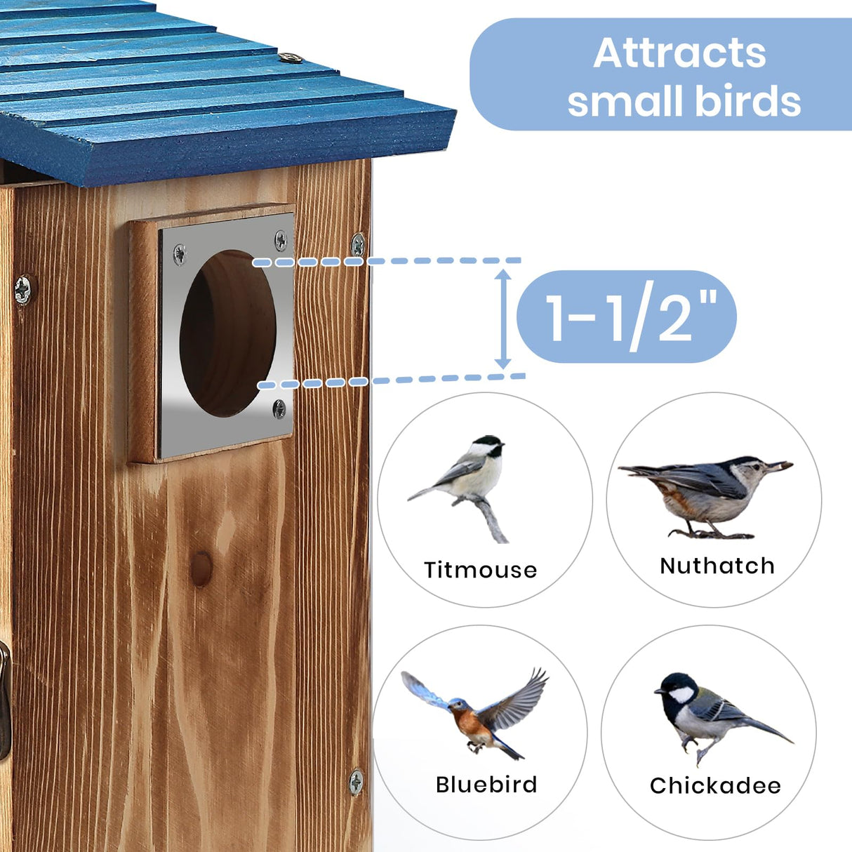 Blue Bird Houses for Outside - Durable Birdhouses for Outdoors with Clear View Panel & Predator Guard for Bluebird Wren Swallow Finch Chickadee Cardinal Predimeza