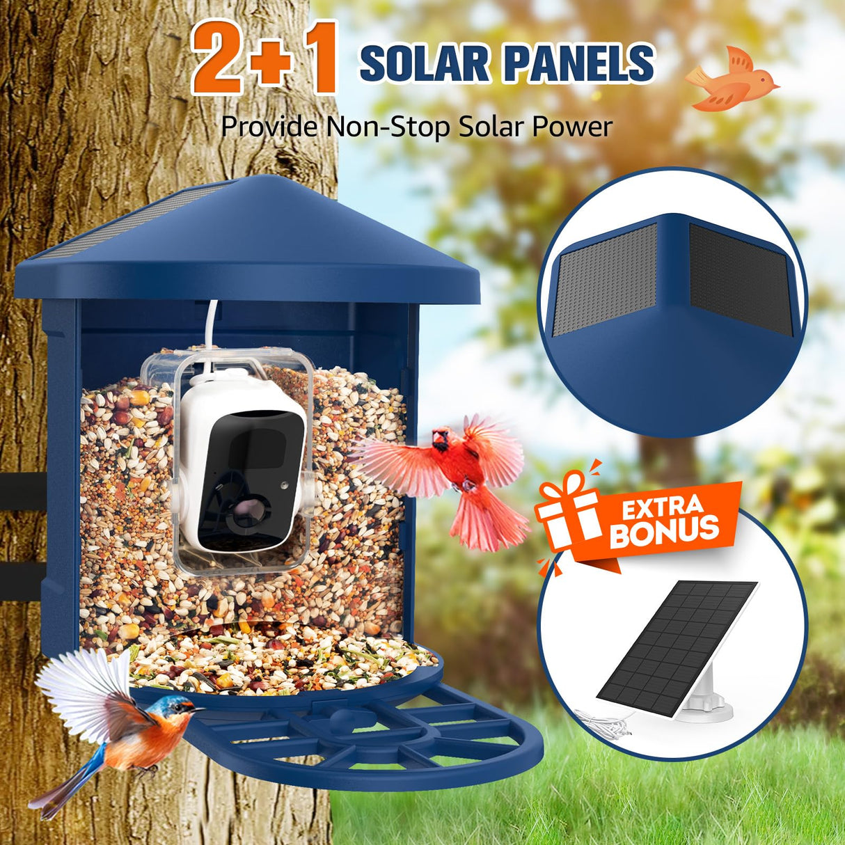 PeckCam® Bird Feeder with Camera, 2K HD AI Identify Birds Species, Bird Feeder with Camera Solar Powered, Auto Record Birds Video, Instant Notifications, Ideal Gifts for Family and Bird Lovers PeckCam