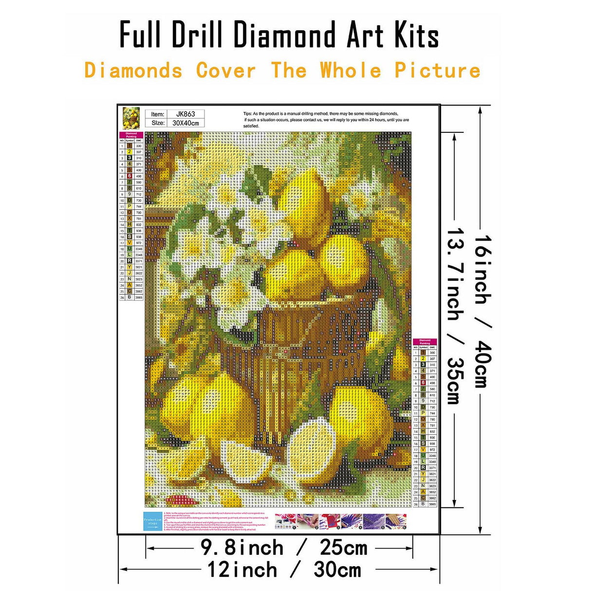 CHWGLFGG 5D Diamond Art Kits for Adults Beginners, Lemons Diamond Painting Kits, DIY Full Round Drill Paint by Diamonds Dot Gem Art for Adults, Home Wall Decor 12x16 Inch CHWGLFGG