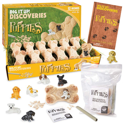 MindWare Dig it Up! Puppies Excavation Kit - Educational Toys for Kids 4 and Up - Dig Kit with 12 Bones, 12 Puppy Figurines, 12 Chisels - Ideal for Group Activities, Events or Classroom Brain Breaks
