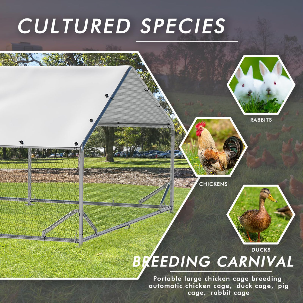 LEMBERI Metal Chicken Runs for Yard, Spire-roof Large Walk in Chicken coop cage for Outside,Galvanized Rabbits Duck Run and coops,Chicken Pen with Waterproof Cover for Outdoor,Backyard and Farm LEMBERI