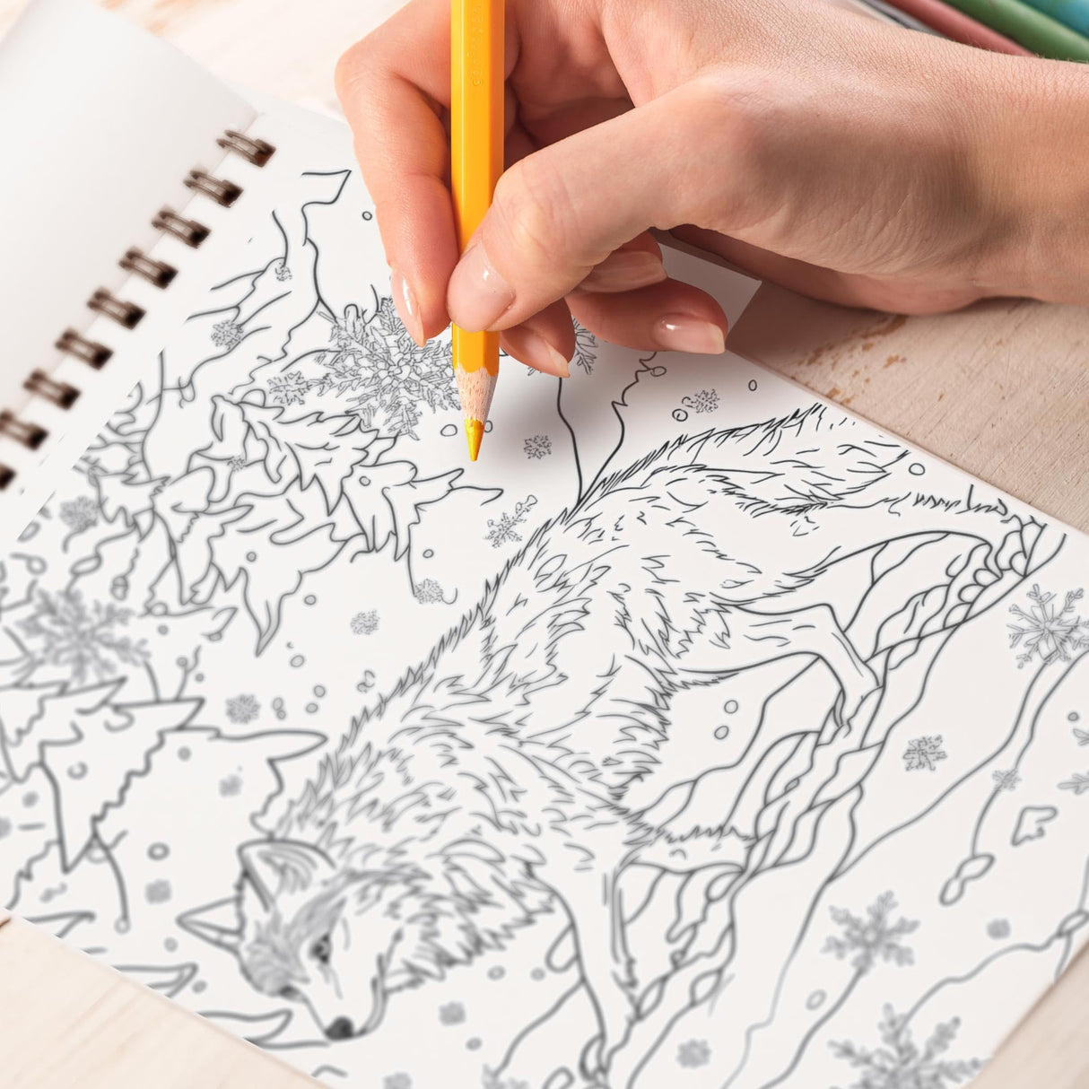 TPLHOUSE Winter Wolf Coloring Book Spiral Bound for Adults, Premium Cover, 30 Beautiful Coloring Pages of Majestic Wolves in Winter Scenes Stress Relief and Relaxation TPLHOUSE