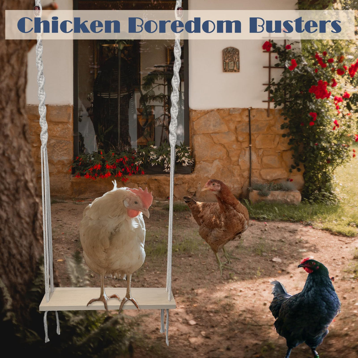 HahaMagic Chicken Swing Toy for Large Chicken Coop, Chicken Enrichment Toy for Hens and Roosters, Natural Wooden Handmade Chicken Coop Accessories, Ideal Gift for Chicken Owners and Chicken Lovers HahaMagic