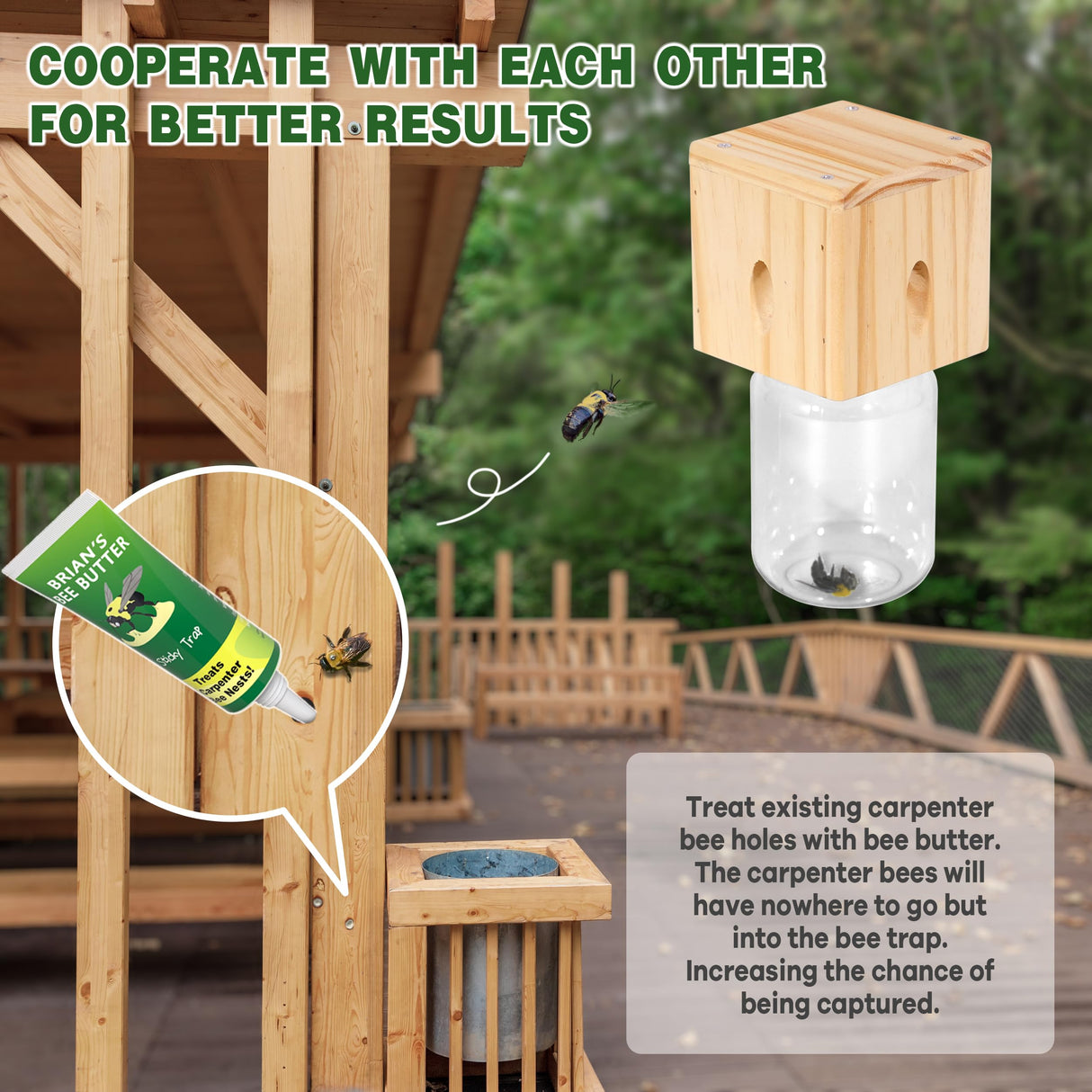 2 PCS Wood Carpenter Bee Trap for Outside - Best Bee Trap - Cube Style Nature Hanging Carpenter Bee Traps Plastic Jar Outdoor - Insect Traps Best Bee Trap