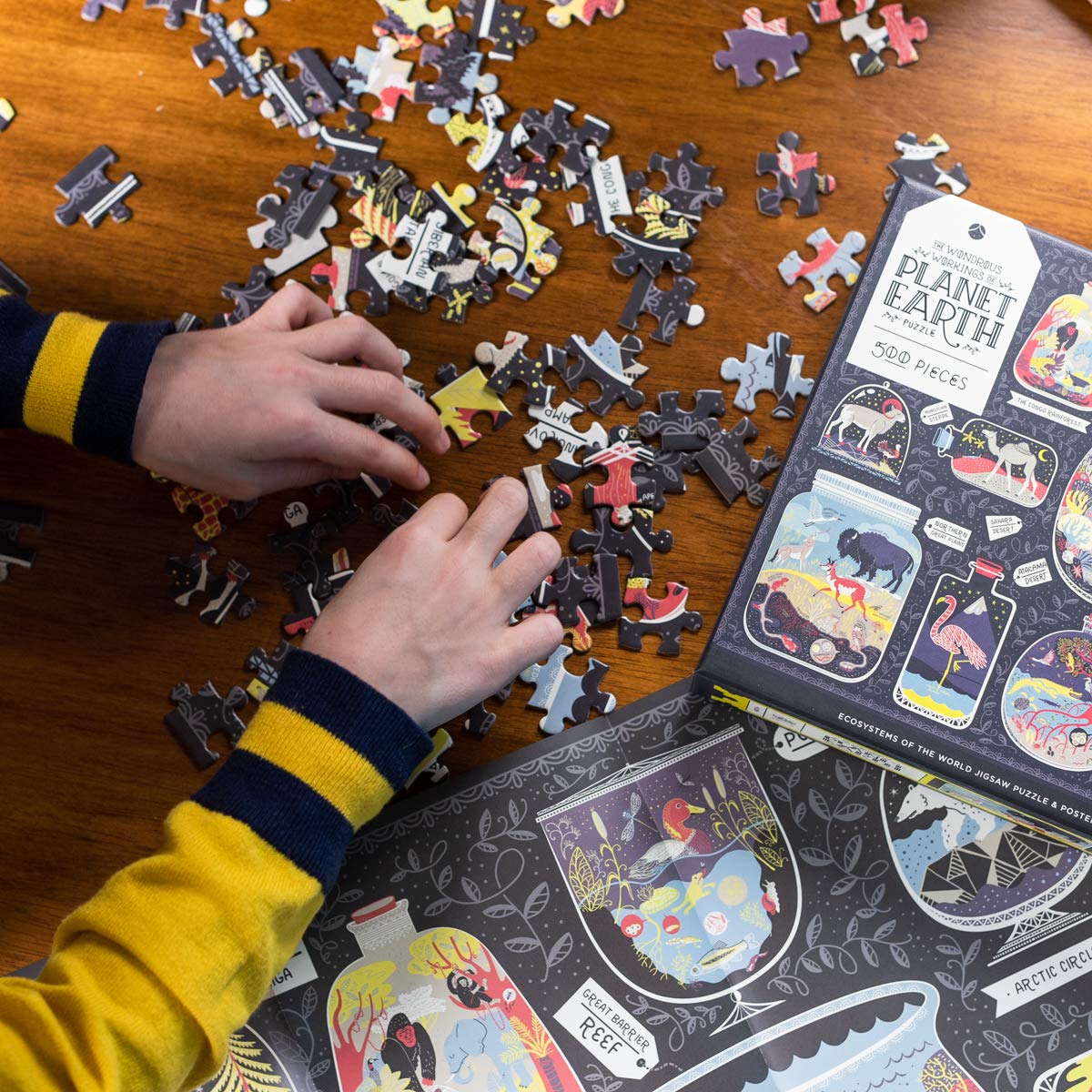 The Wondrous Workings of Planet Earth Puzzle: Ecosystems of the World 500-Piece Jigsaw Puzzle and Poster : Jigsaw Puzzles for Adults and Jigsaw Puzzles for Kids Clarkson Potter