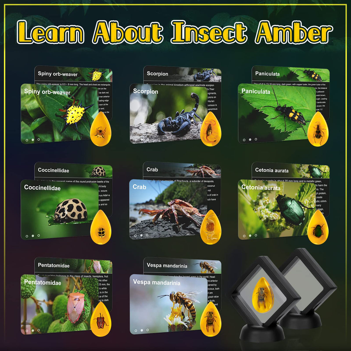 Bigger Amber Dig Kit - 8 Different Artificial Insect Resin,Excavate Unique Insect Specimens,Bugs Toys Educational Science Kits Toys for Kids,STEM Projects Gift for Girls & Boys Age 6-8-12-14 Year Old Cameparck