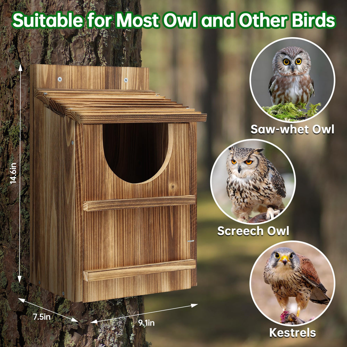 UUMENHA Owl House,Carbonized Cedar Large Owl Bird Box with Shavings,Owl Boxes for Outside 14.5×9×7.5 inches,Owl Nesting Box for Wildlife Lovers,Easy Assembly Required UUMENHA