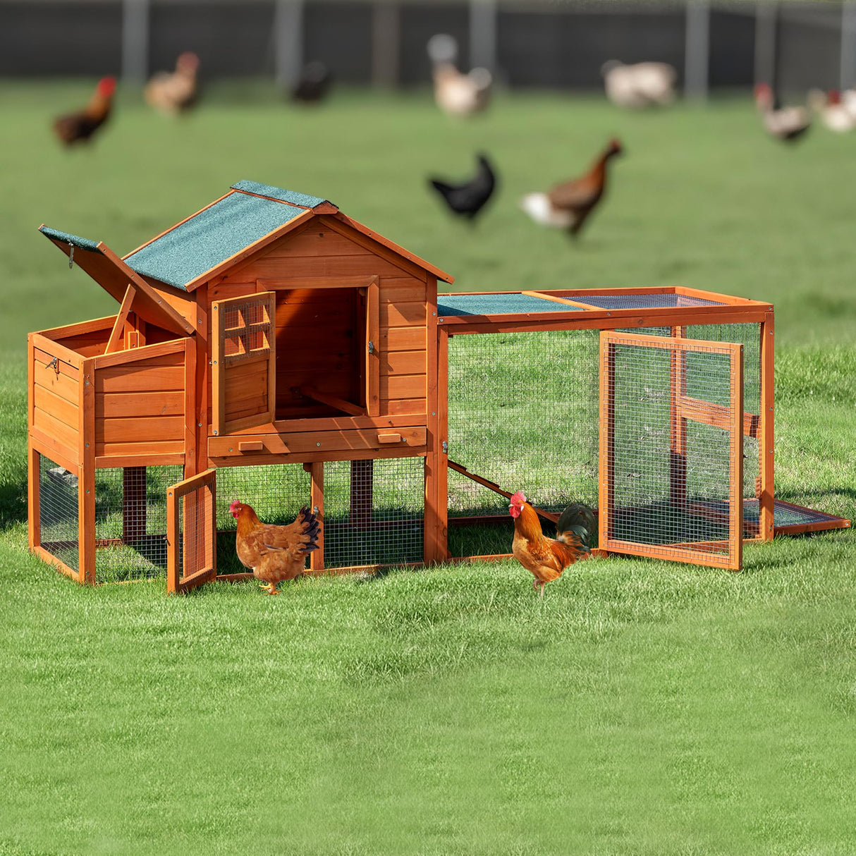 GARWOOD Large Wooden Chicken Coop Outdoor Big Hen House Poultry Pet Duck Hutch with Run Cage Nesting Box Waterproof Asphalt Roof Ramp Removable Tray Wire Fence for Backyard Small Animals 79" Brown GARWOOD