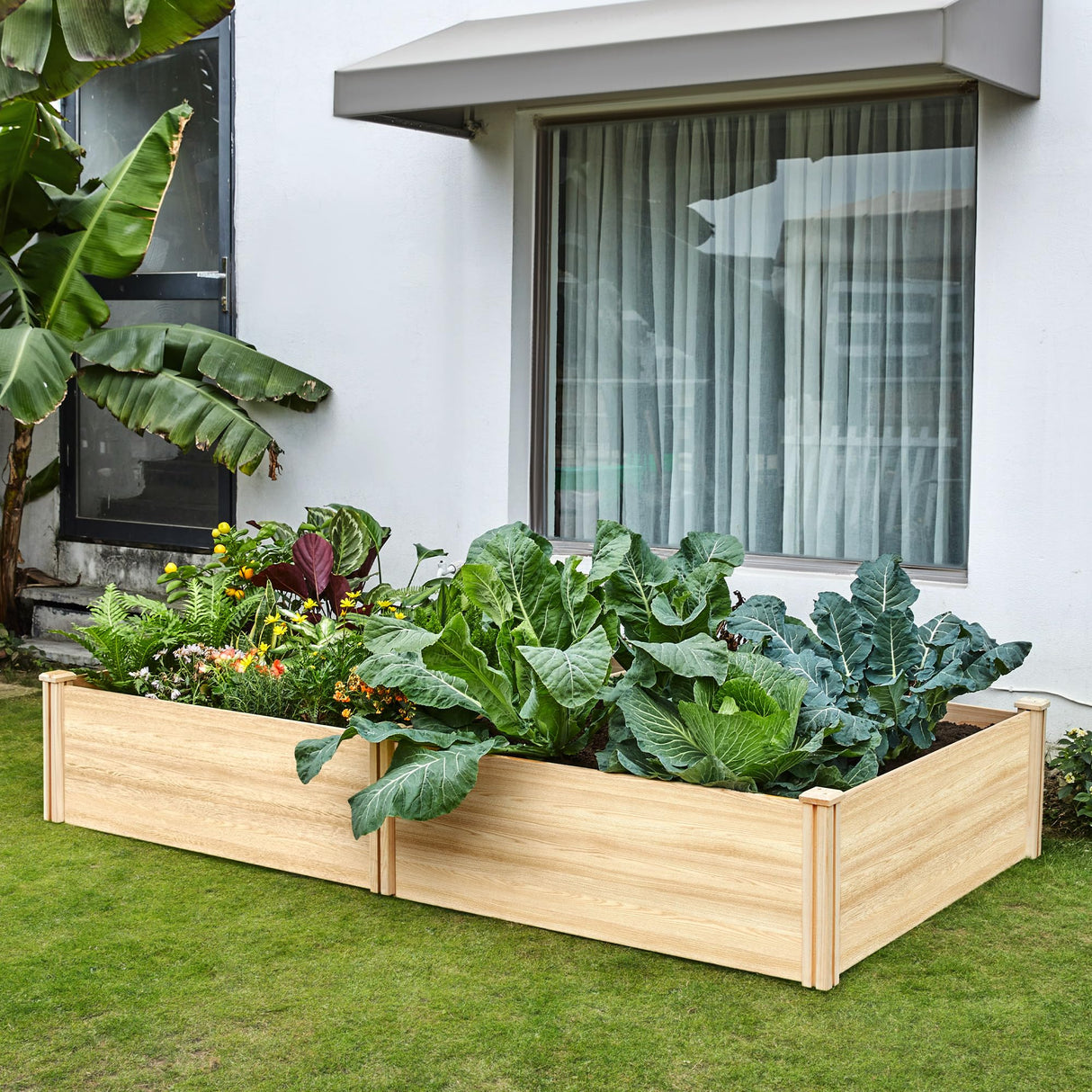 SPECRAFT 15 Inch Depth 8x4 FT Deep Wooden Raised Garden with Open Base, Extra Large Planter Box for Deep-Rooted Plants, Ideal for Outdoors, Patio, Backyard SPECRAFT