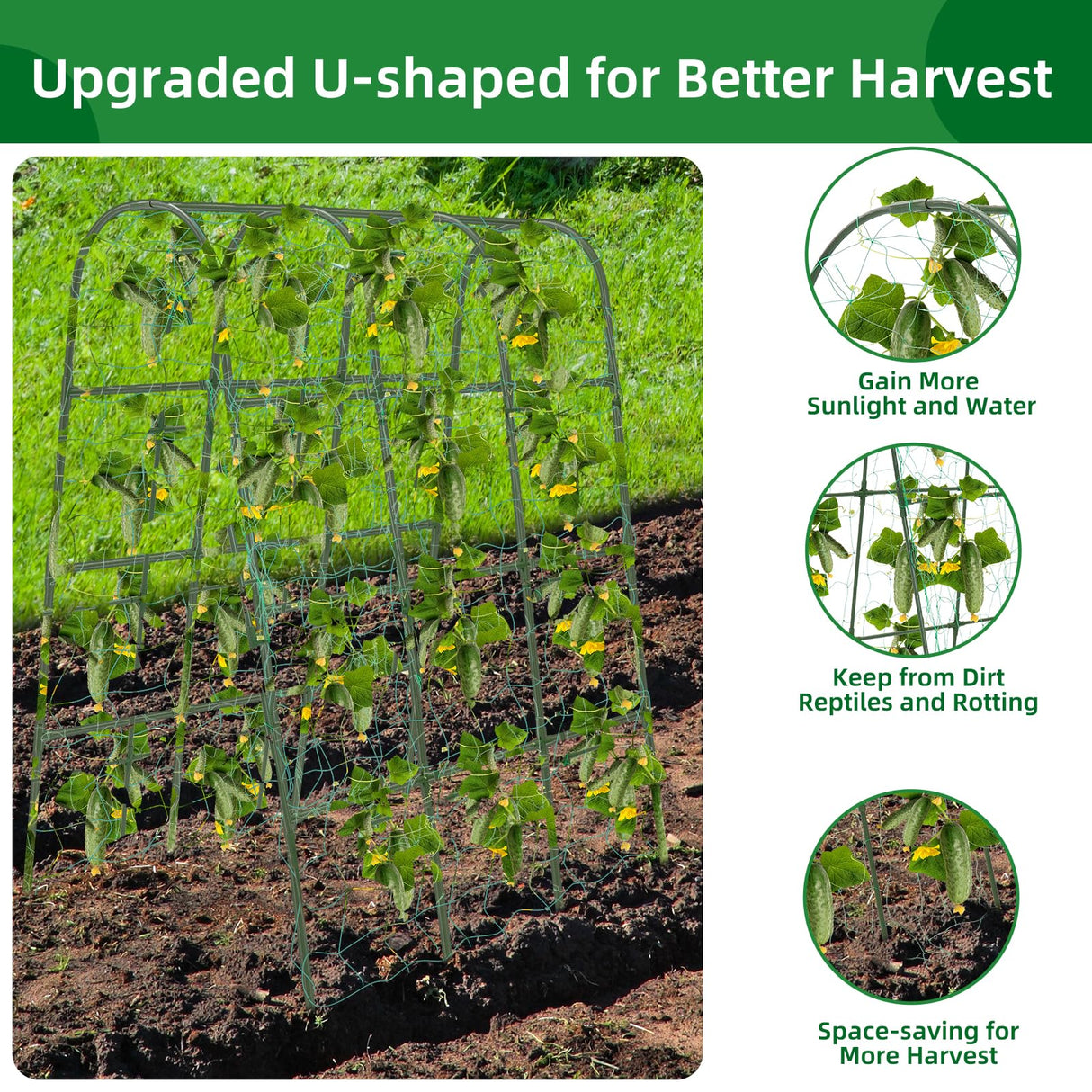 65"×50" Cucumber Trellis for Raised Bed,Tall Metal Arch Garden Trellis for Climbing Plants Outdoor,Vegetables,Plant Support Peas,Fruit,Flower,Grape,Tomato, Bean CFKEMZY