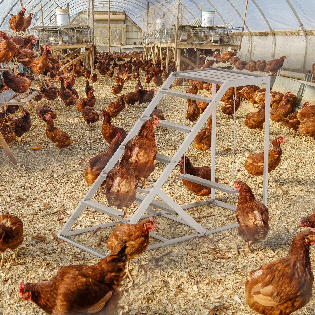 Chicken Coop, Chicken Perches with Swing, Chicken Roosting Bars, Chicken Activity Play Toys, Wooden Chicken Ladder for Pet's Healthy & Happy, Suitable for Backyard Farm Nandae