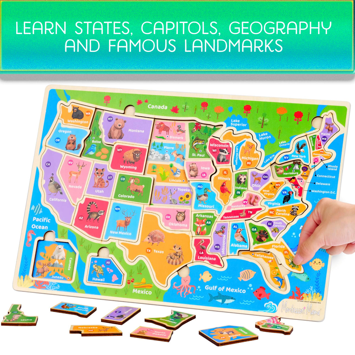 Montessori Mama Wooden USA Map Puzzle and World Continents and Oceans Map Puzzle (USA Map Puzzle) Montessori Mama