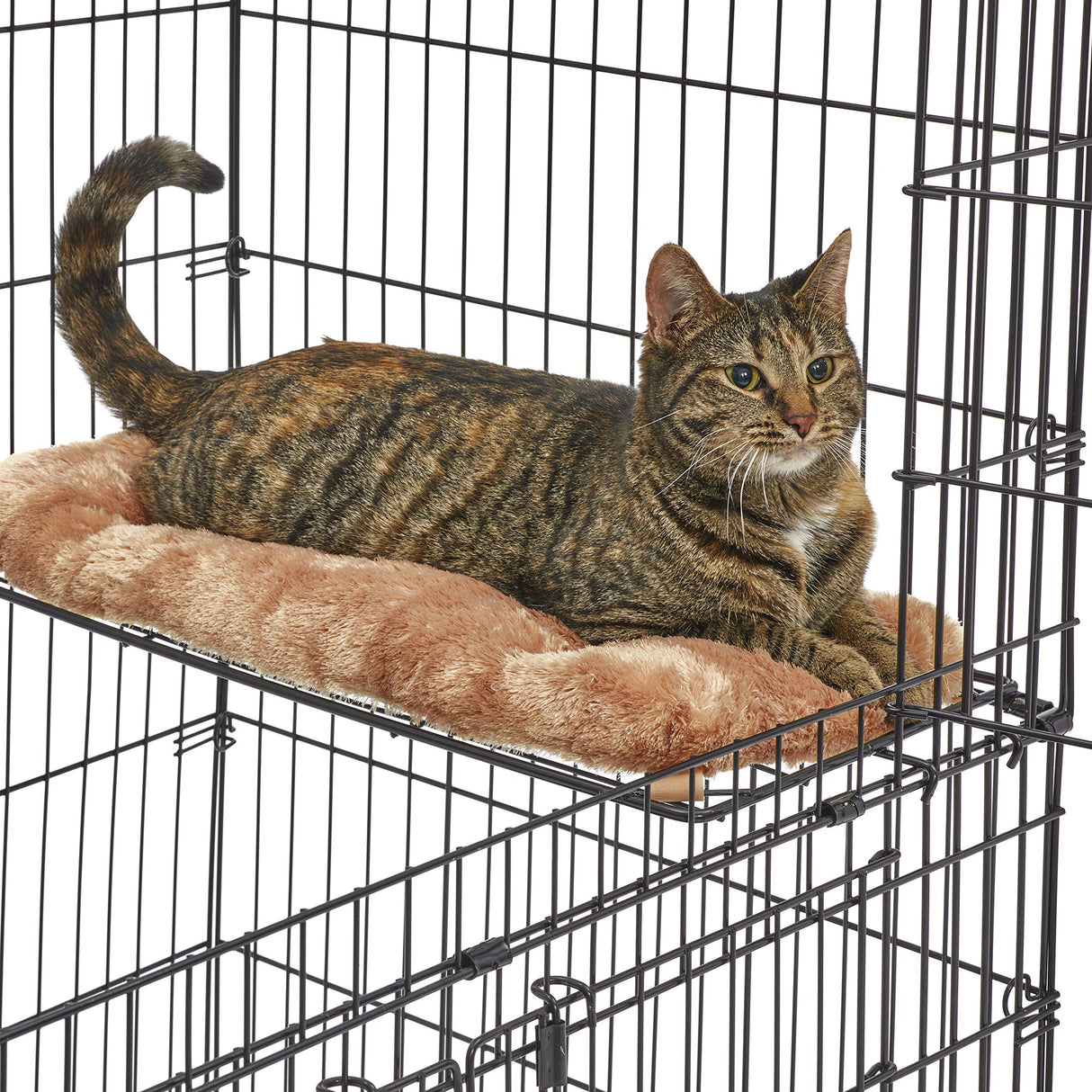 MidWest Homes for Pets Cat Playpen / Cat Cage Includes 3 Adjustable Resting Platforms, Removable Leak-Proof Pan, Easy 2-Door Top / Bottom Access & 4-locking Wheel Casters, 36"L x 23.5"W x 50.5"H Midwest Homes for Pets
